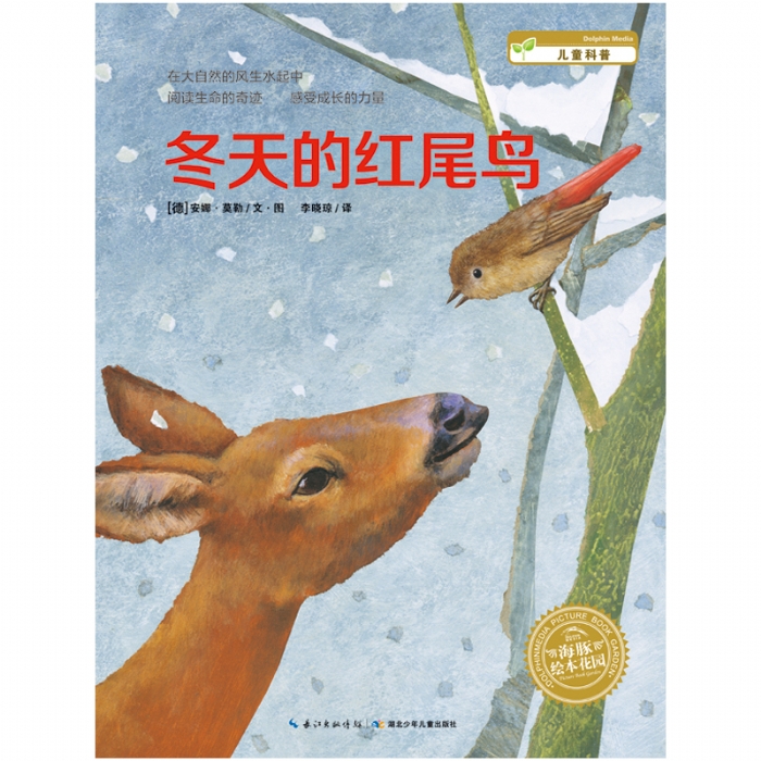 冬天的红尾鸟--海豚绘本花园