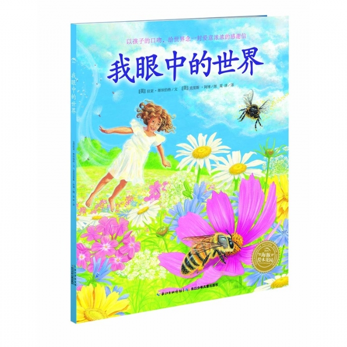 我眼中的世界