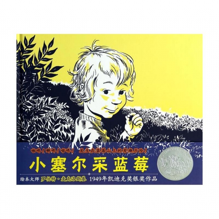 小塞尔采蓝莓