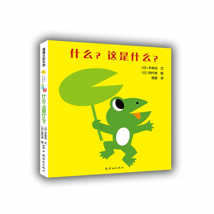 什么，这是什么