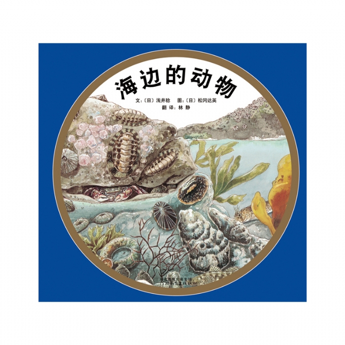 海边的动物