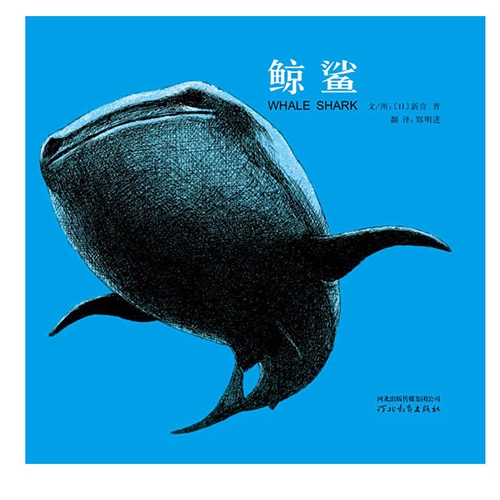 鲸鲨