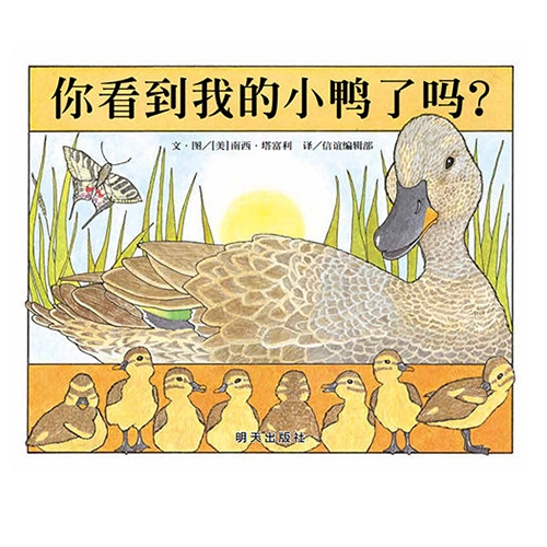 你看到我的小鸭了吗