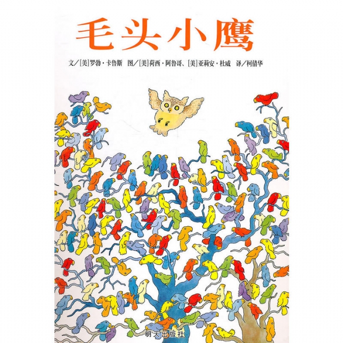 毛头小鹰