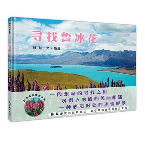 寻找鲁冰花