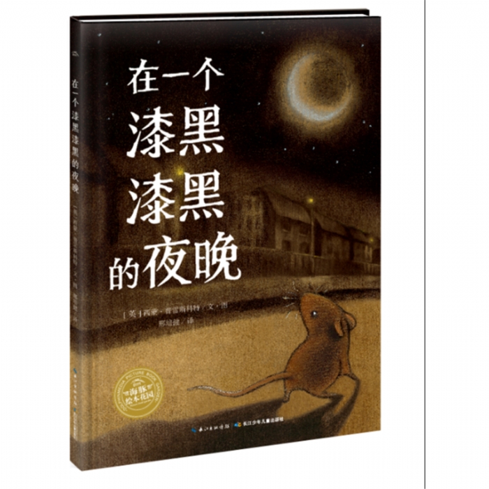 在一个漆黑漆黑的夜晚
