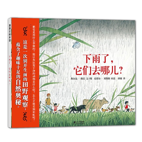 下雨了，它们去哪儿