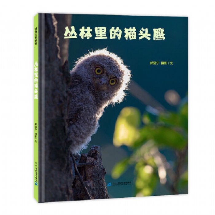 丛林里的猫头鹰 - 封面