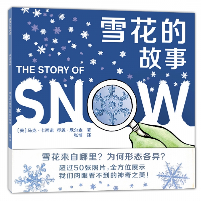 雪花的故事 - 封面