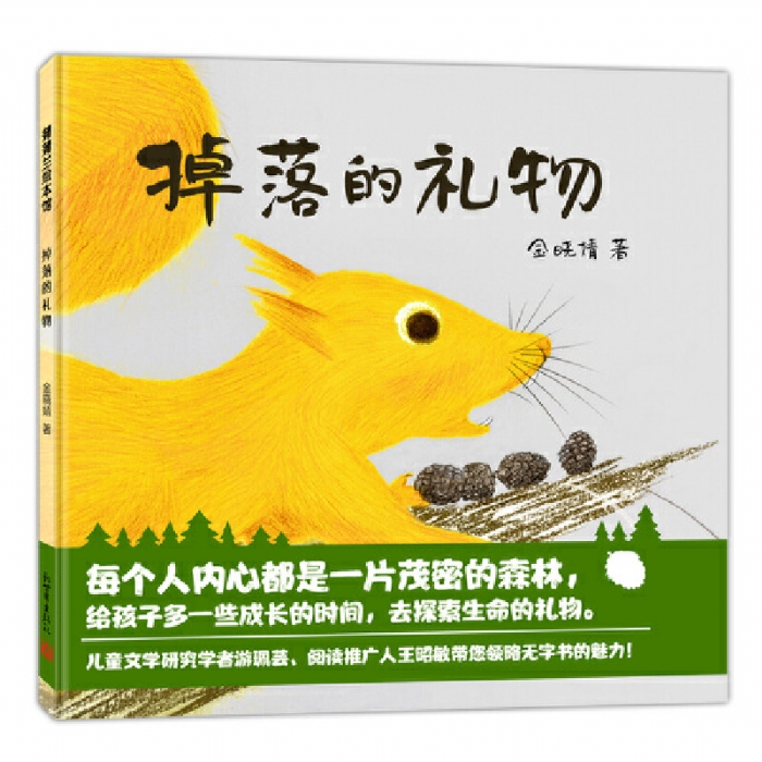 掉落的礼物 - 封面