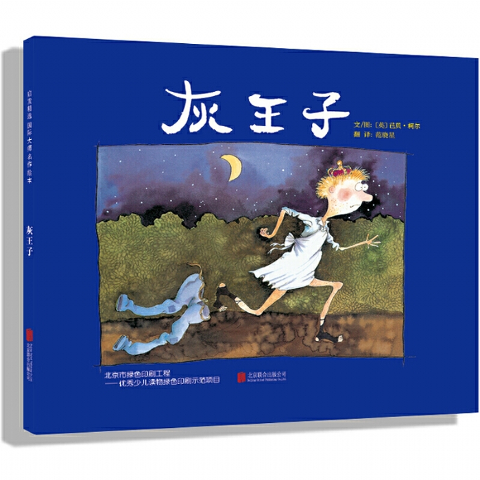 灰王子 - 封面