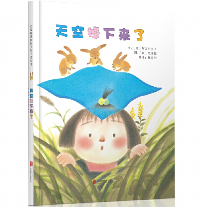 天空掉下来了 - 封面