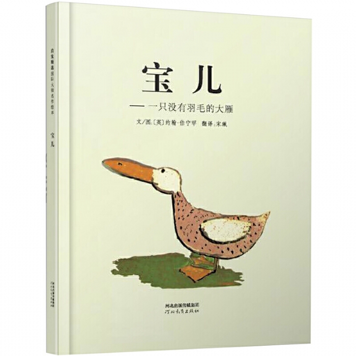宝儿 - 封面