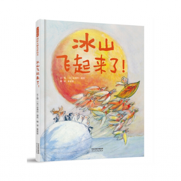 冰山飞起来了 - 封面
