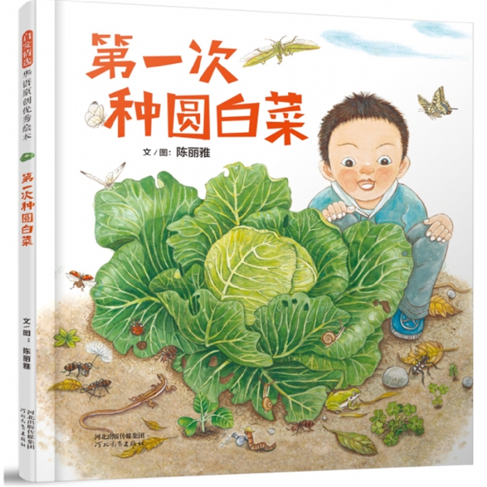 第一次种圆白菜 - 封面