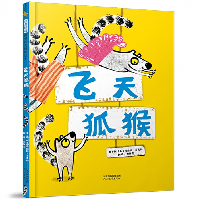 飞天狐猴 - 封面