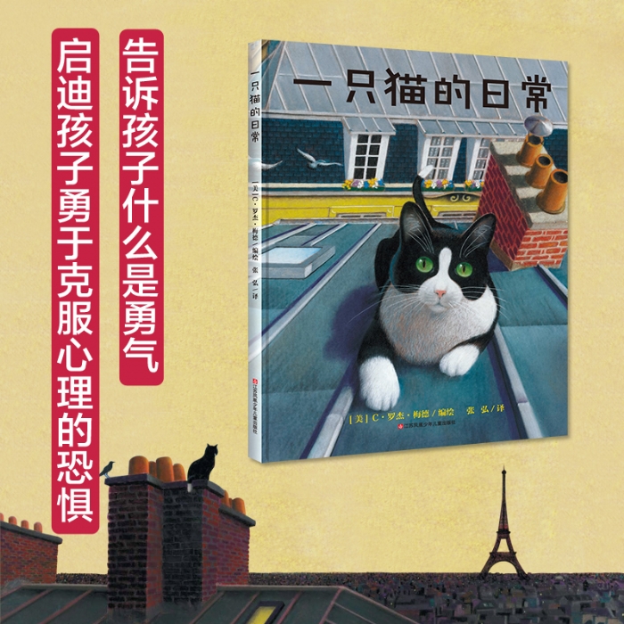 一只猫的日常（面对挫折，要勇敢的去面对，逆商教育） - 封面