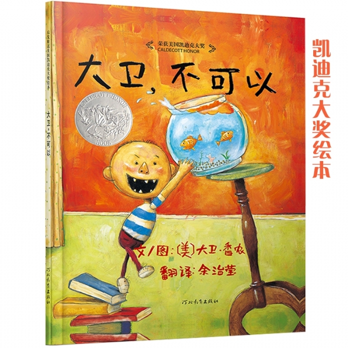 大卫不可以