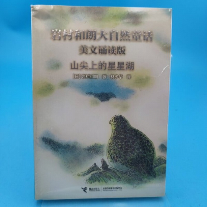 山尖上的星星湖 - 封面