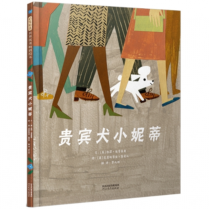 贵宾犬小妮蒂