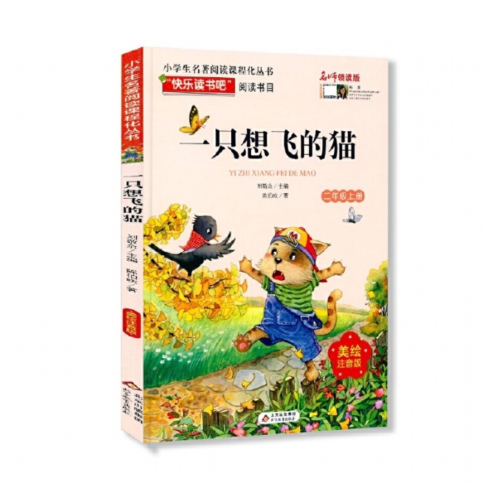 一只想飞的猫