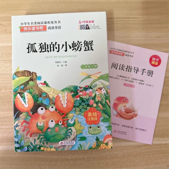 孤独的小螃蟹