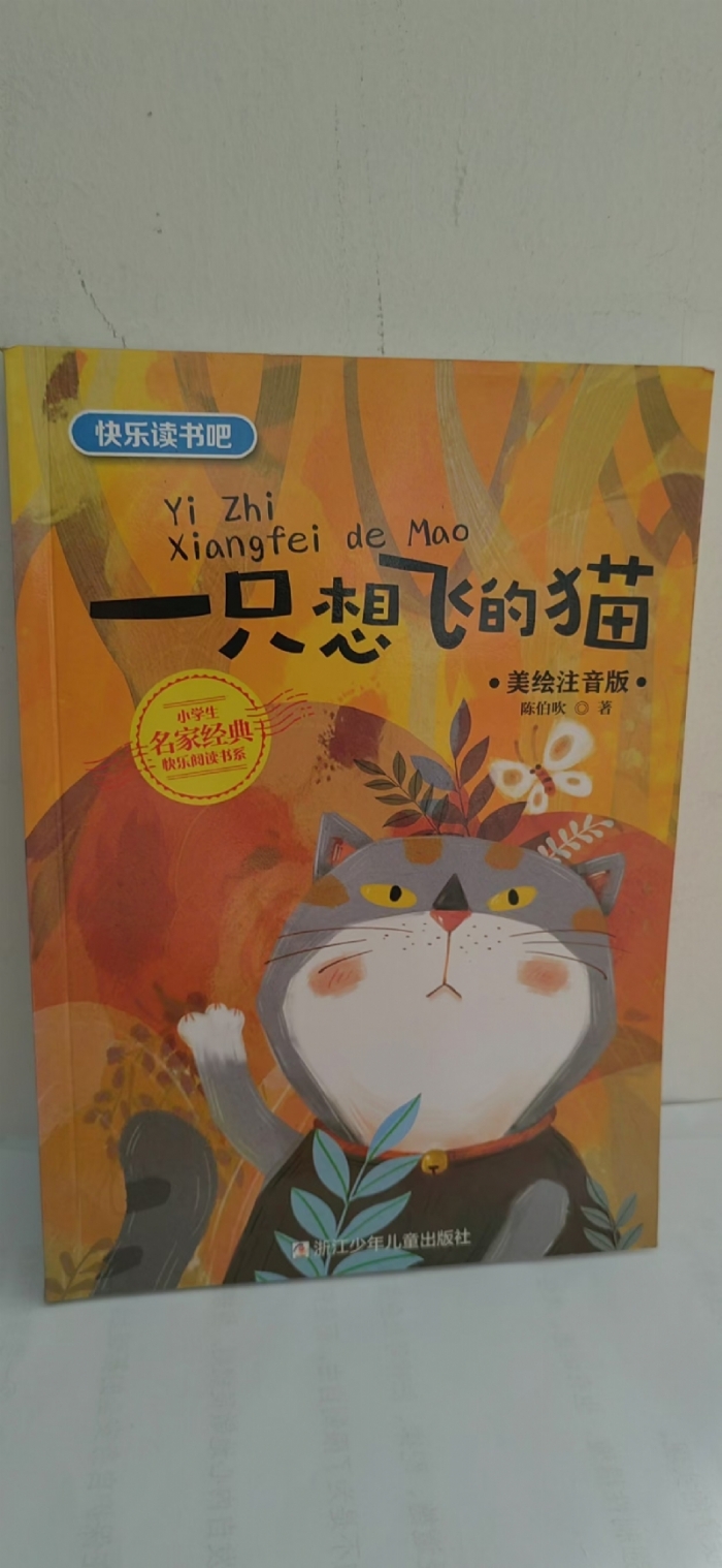 一只想飞的猫